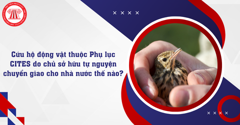 Lịch chi trả lương hưu, trợ cấp BHXH tháng 5 năm 2026 tại TPHCM mới nhất thế nào?