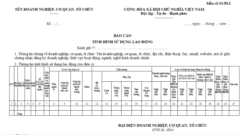 mẫu số 01/PLI báo cáo tình hình sử dụng lao động 6 tháng đầu năm 2026 file excel