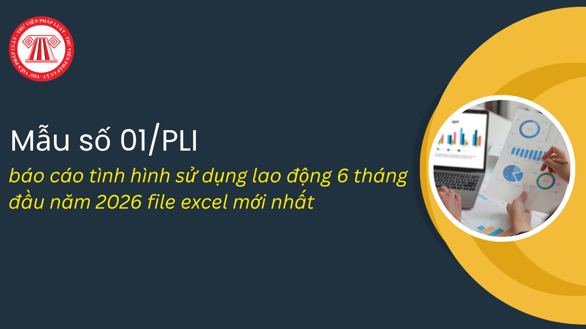 Bài Viết Bản Án
