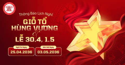 Bài Viết Bản Án
