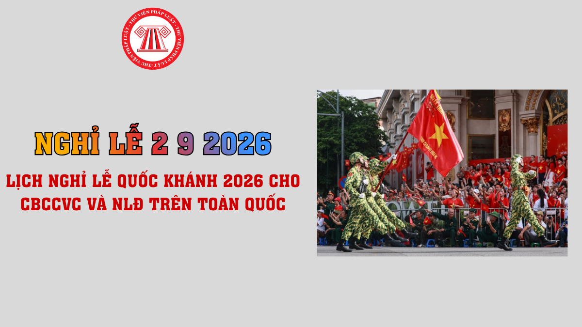 Bài Viết Bản Án