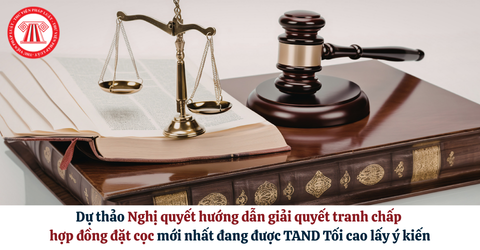 Bài Viết Bản Án