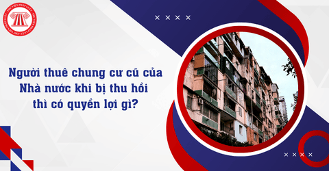 Quyền lợi của người thuê chung cư cũ thuộc tài sản công khi bị Nhà nước thu hồi là gì?