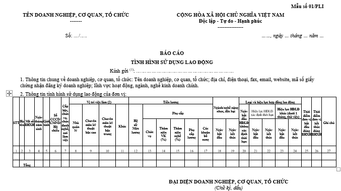 Cách điền Mẫu 01/PLI báo cáo tình hình sử dụng lao động 6 tháng đầu năm 2026
