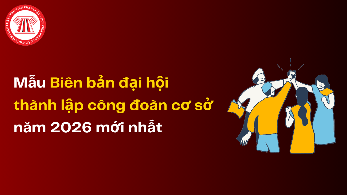 Bài Viết Bản Án
