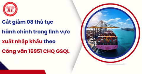 Cắt giảm 08 thủ tục hành chính trong lĩnh vực xuất nhập khẩu từ 29/4/2026 theo Công văn 16951 CHQ GSQL chi tiết ra sao?
