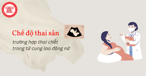 Trường hợp thai chết trong tử cung lao động nữ được nghỉ việc hưởng chế độ thai sản bao nhiêu ngày?