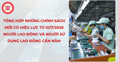 Tổng hợp những chính sách mới có hiệu lực từ 01/7/2026 người lao động và người sử dụng lao động cần nắm