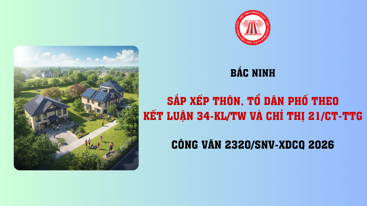 Bài Viết Bản Án