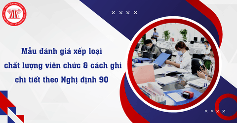 Tải mẫu đánh giá xếp loại chất lượng viên chức và hướng dẫn cách ghi chi tiết theo Nghị định 90 2020 NĐ CP
