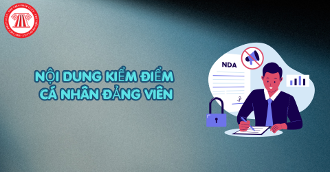 Nội dung kiểm điểm cá nhân Đảng viên có đề cập khuyết điểm được chỉ ra ở thời điểm kiểm điểm trước không?
