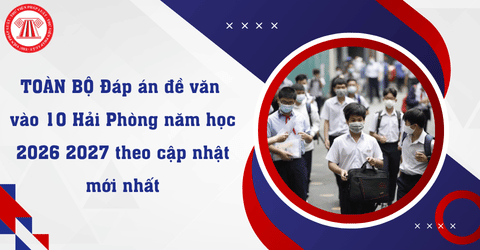 Bài Viết Bản Án