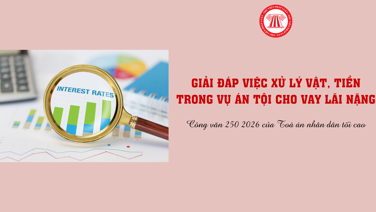 Bài Viết Bản Án