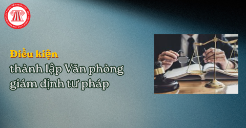 Điều kiện thành lập Văn phòng giám định tư pháp là gì? Hồ sơ, thủ tục hợp nhất văn phòng giám định tư pháp thế nào?