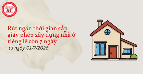 Bài Viết Bản Án