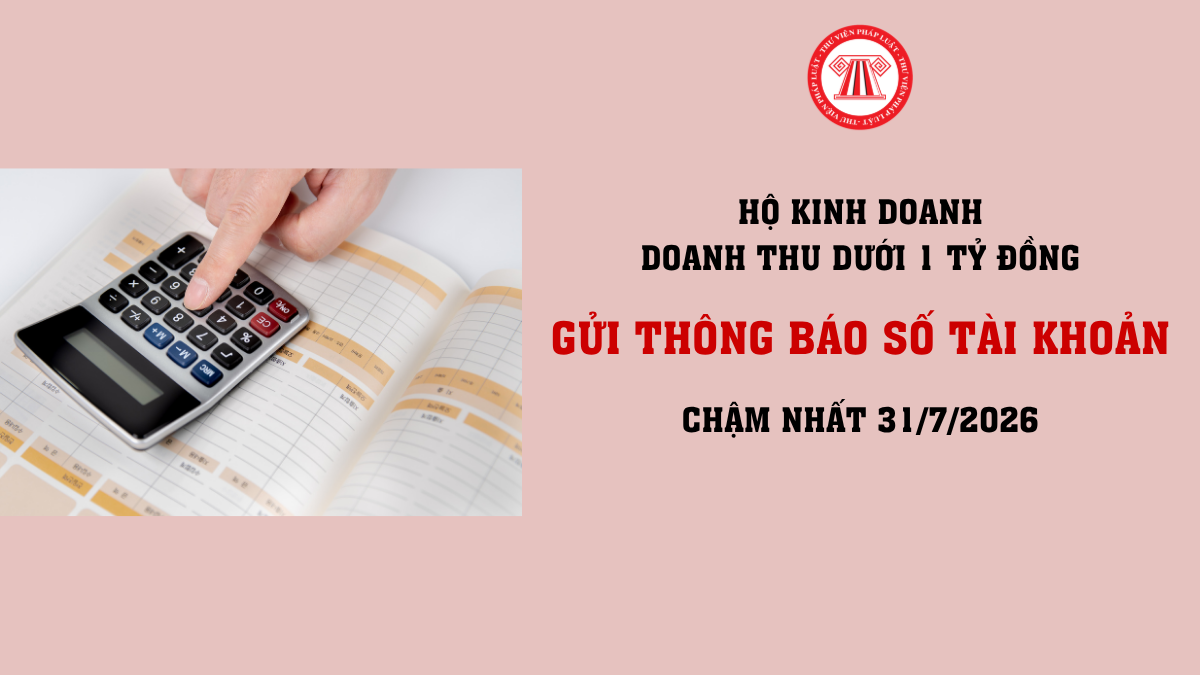 Bài Viết Bản Án