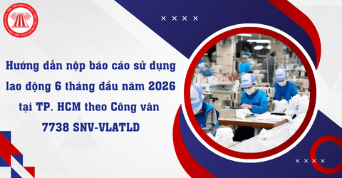 Hướng dẫn nộp báo cáo sử dụng lao động 6 tháng đầu năm 2026 tại TP. HCM theo Công văn 7738 SNV-VLATLD