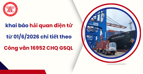 Hướng dẫn thực hiện khai báo hải quan điện tử tại Chi cục Hải quan khu vực III từ 01/6/2026 chi tiết theo Công văn 16952 CHQ GSQL ra sao?