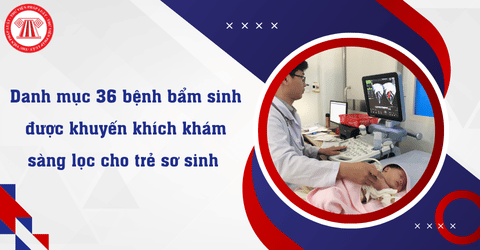 Cha mẹ cần khám sàng lọc các bệnh bẩm sinh nào cho trẻ sơ sinh theo Thông tư 12/2026/TT-BYT?