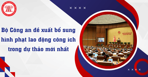 Bài Viết Bản Án