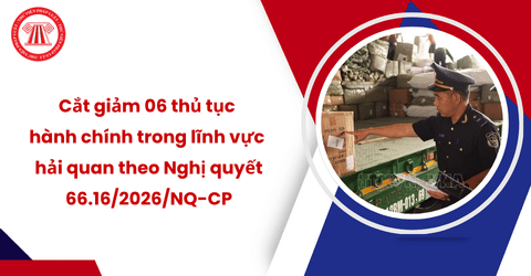 Cắt giảm 06 thủ tục hành chính trong lĩnh vực hải quan theo Nghị quyết 66.16/2026/NQ-CP