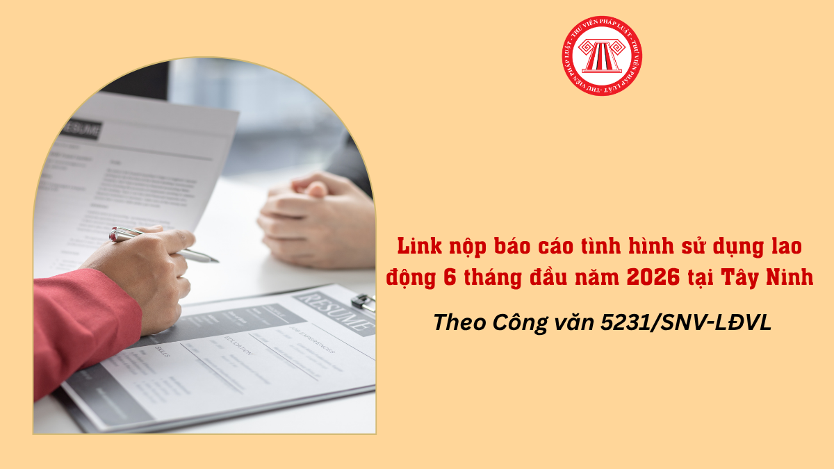 Link nộp báo cáo tình hình sử dụng lao động 6 tháng đầu năm 2026 tỉnh Tây Ninh