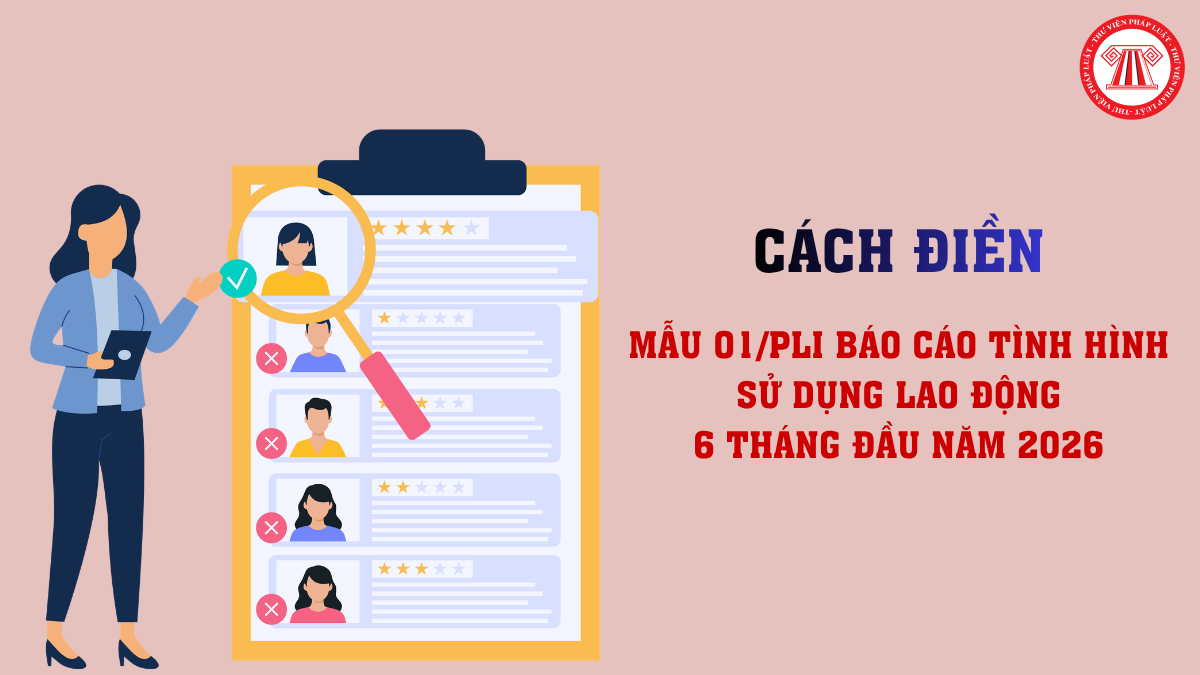 Bài Viết Bản Án