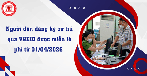Bài Viết Bản Án