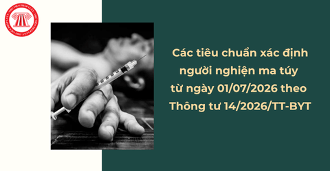 người nào bị xác định là nghiện ma túy 