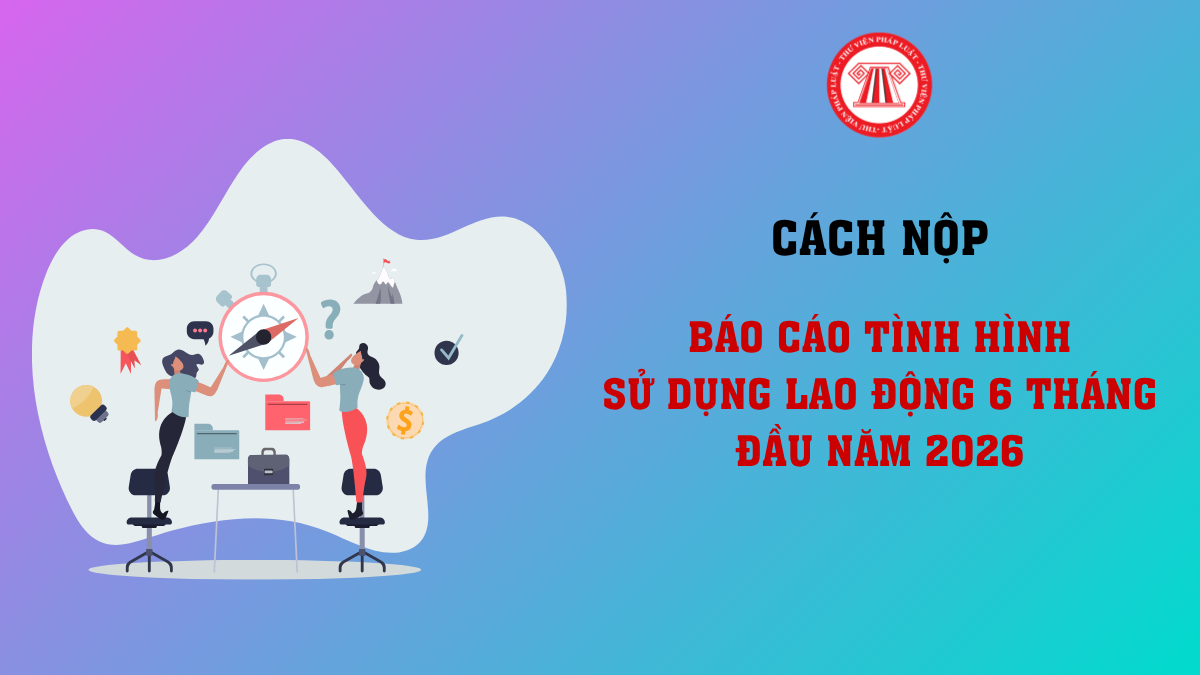Bài Viết Bản Án