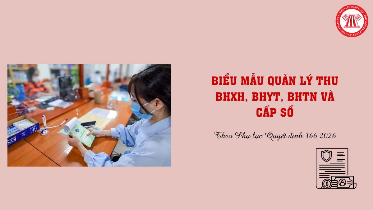 Bài Viết Bản Án