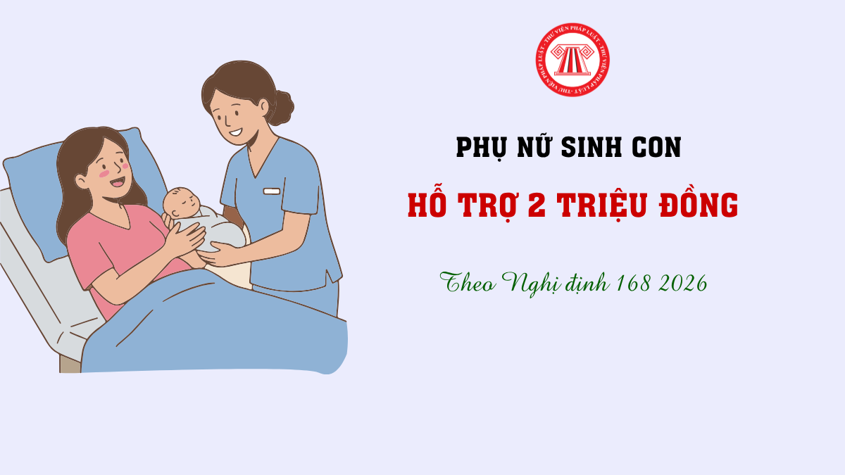 Bài Viết Bản Án