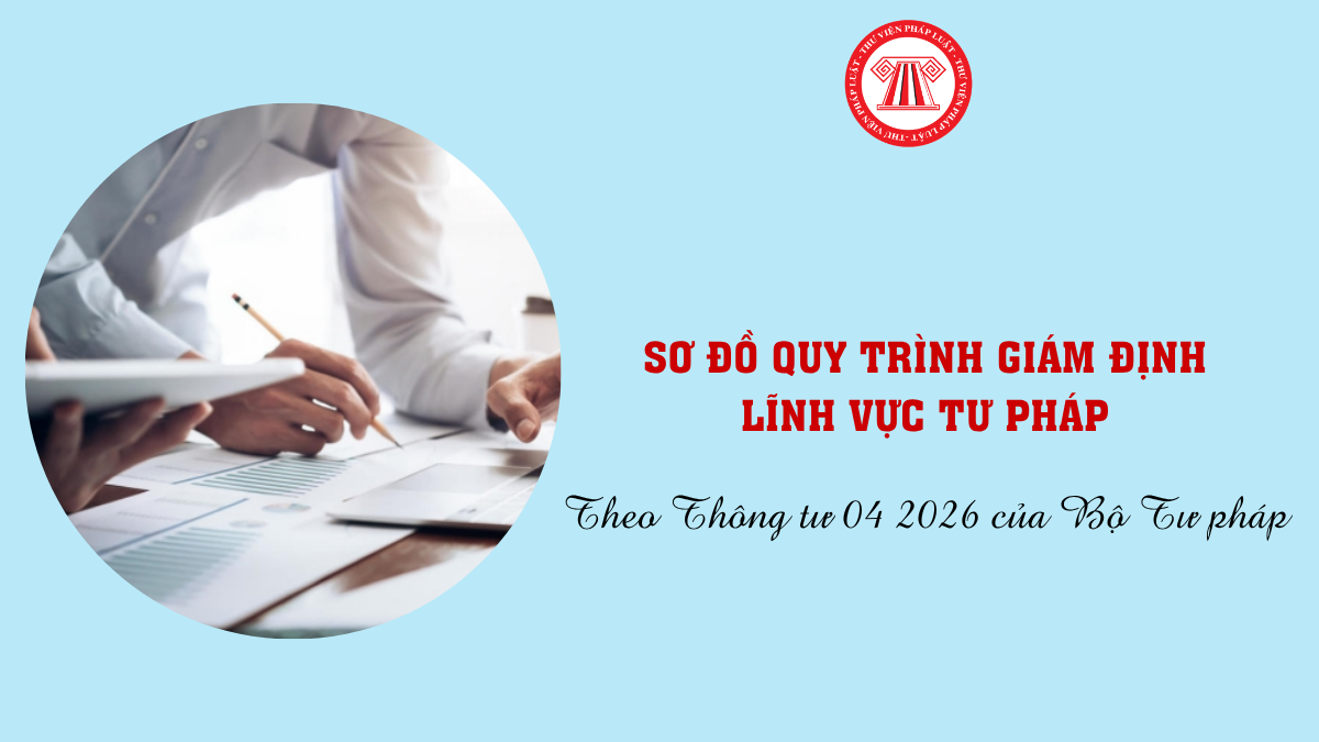 Bài Viết Bản Án