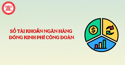 Cập nhật số tài khoản ngân hàng đóng kinh phí công đoàn các tỉnh thành trên cả nước mới nhất