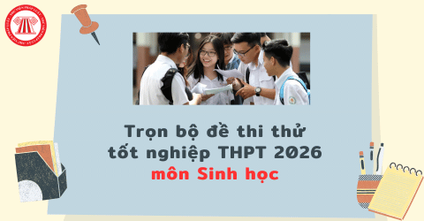 Trọn bộ đề thi thử tốt nghiệp THPT 2026 môn Sinh học các tỉnh thành cập nhập mới nhất