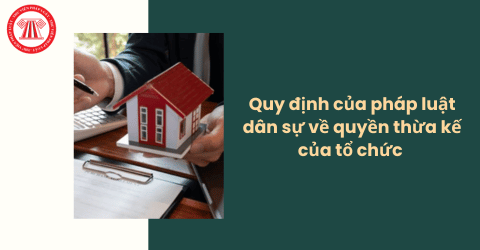 Tổ chức có thể trở thành người thừa kế theo quy định của pháp luật dân sự không?