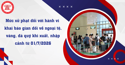 Từ 01/7/2026, khai báo gian dối về ngoại tệ, vàng, đá quý khi xuất, nhập cảnh bị xử phạt bao nhiêu tiền? 