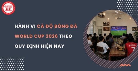 Thua cá độ bóng đá World Cup 2026 không trả tiền có sao không? Cá độ bóng đá World Cup 2026 bị xử lý thế nào?