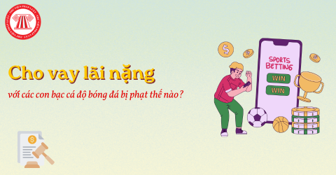 Bài Viết Bản Án