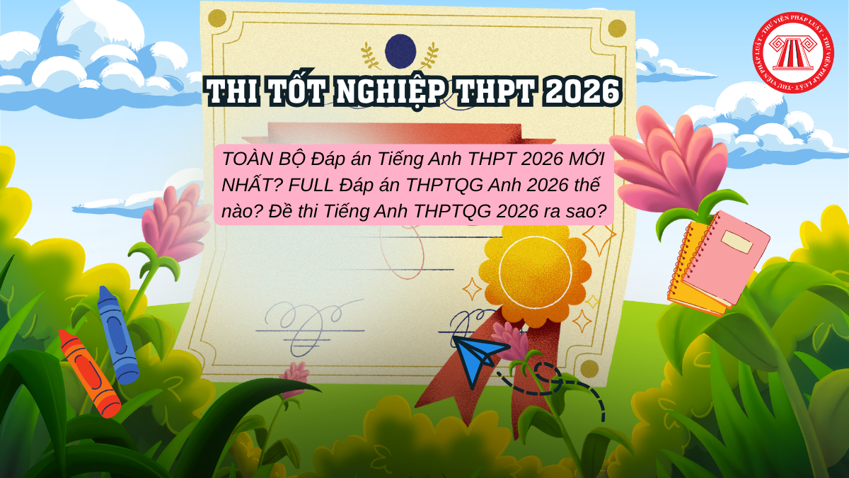 Bài Viết Bản Án