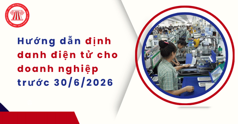 Hướng dẫn định danh điện tử cho doanh nghiệp trước 30/6/2026 chi tiết theo Công văn 371/QLDN-TCS1 năm 2026