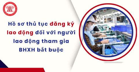Trọn bộ hồ sơ thủ tục đăng ký lao động đối với người lao động tham gia BHXH bắt buộc từ 01/7/2026 theo Quyết định 645 QĐ BNV năm 2026 