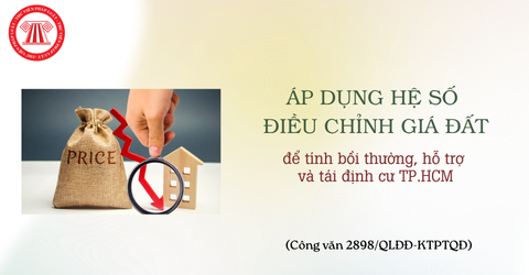 Bài Viết Bản Án