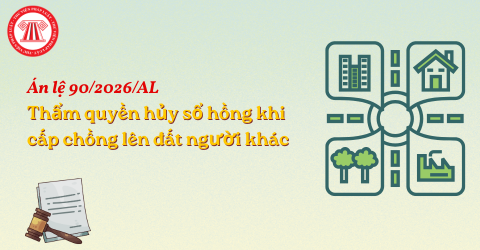Bài Viết Bản Án