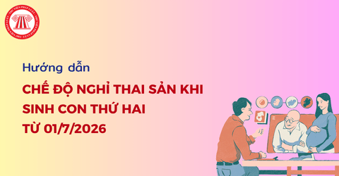 Hướng dẫn hưởng chế độ nghỉ thai sản khi sinh con thứ hai từ 01/7/2026 chi tiết ra sao?