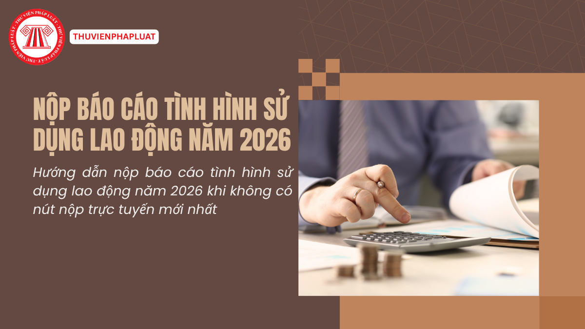 Hướng dẫn nộp báo cáo tình hình sử dụng lao động năm 2026 khi không có nút nộp trực tuyến mới nhất