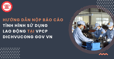 Hướng dẫn nộp báo cáo tình hình sử dụng lao động từ 29/5/2026 tại đường link mới vpcp dichvucong gov vn