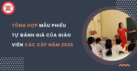 Tổng hợp mẫu phiếu tự đánh giá của giáo viên các cấp năm 2026 mới nhất theo quy định hiện nay