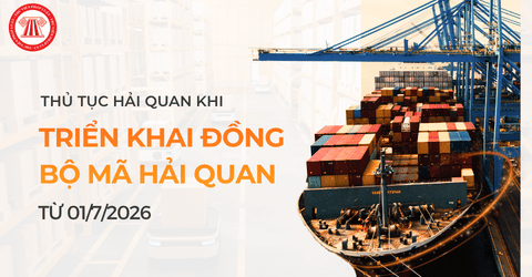 Công văn 18074/CHQ-GSQL: Hướng dẫn thủ tục hải quan khi triển khai đồng bộ mã hải quan từ 01/7/2026 chi tiết ra sao?
