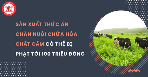Từ 05/8/2026, sản xuất thức ăn chăn nuôi chứa hóa chất cấm có thể bị xử phạt tới 100 triệu đồng theo Nghị định 211 2026 NĐ CP